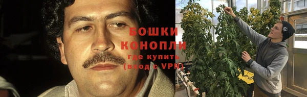 меф Белокуриха