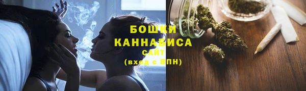 шишки Бронницы