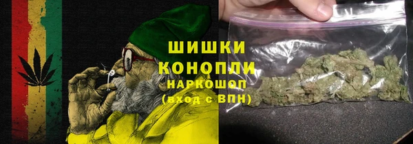 шишки Бронницы