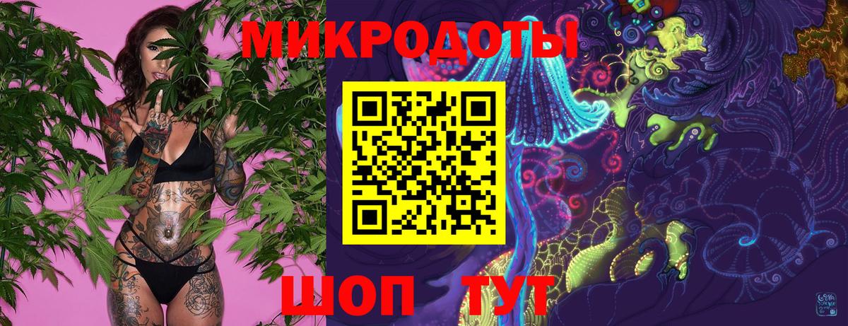 Галлюциногенные грибы Psilocybine cubensis Губкинский