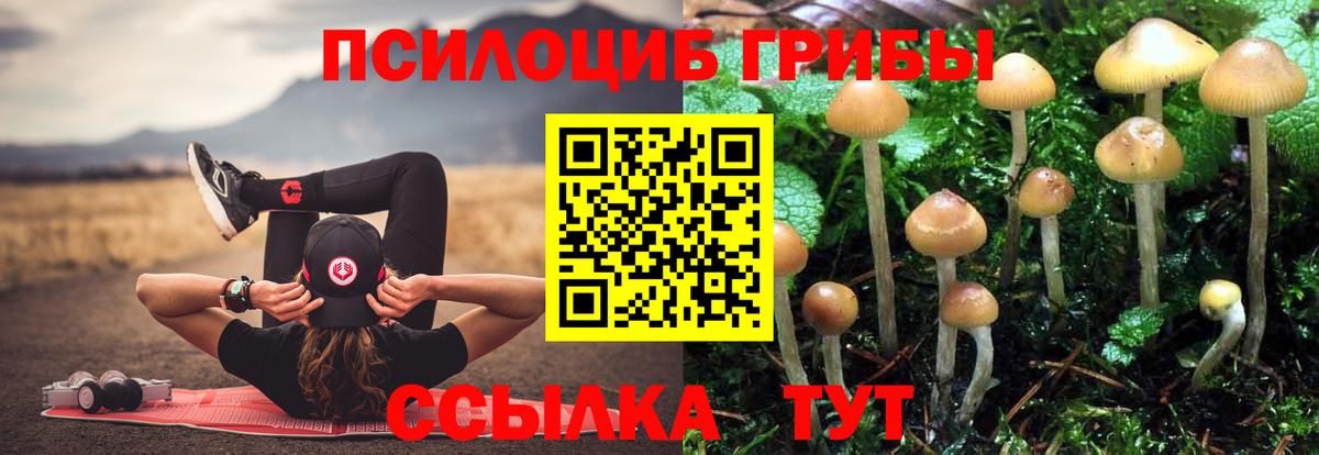 Галлюциногенные грибы Magic Shrooms  Вход с VPN  Губкинский  Псилоцибиновые грибы MAGIC MUSHROOMS 