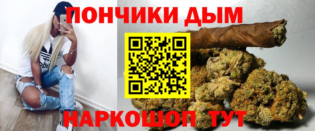 Каннабис гибрид Губкинский
